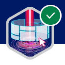 App Customization Specialist